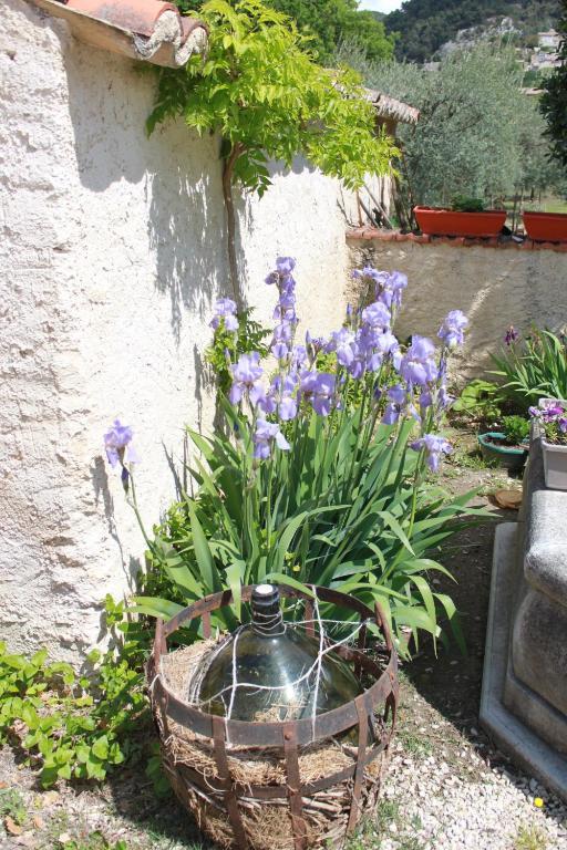 Amour Provence Seguret Exterior photo